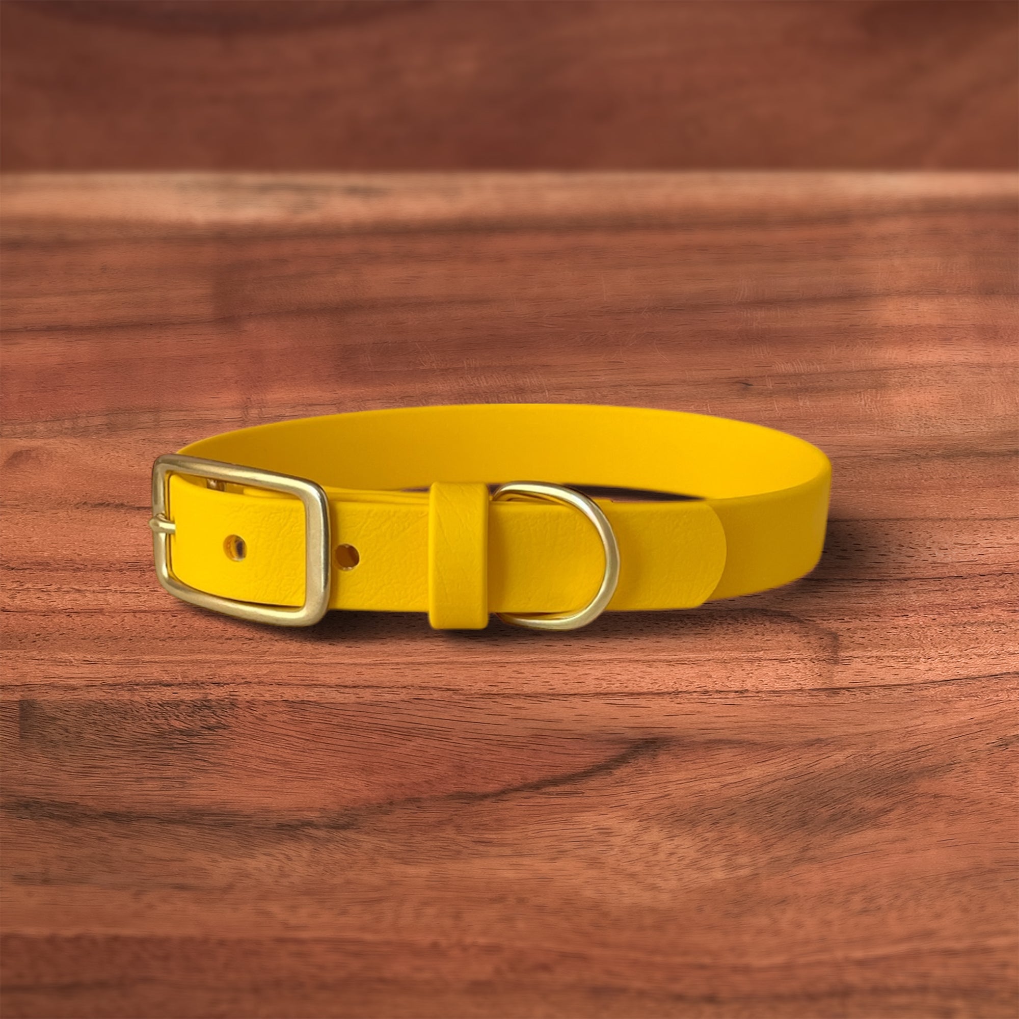 Egg Buckle Collar - FoxMoth - Pet Collars & Harnesses