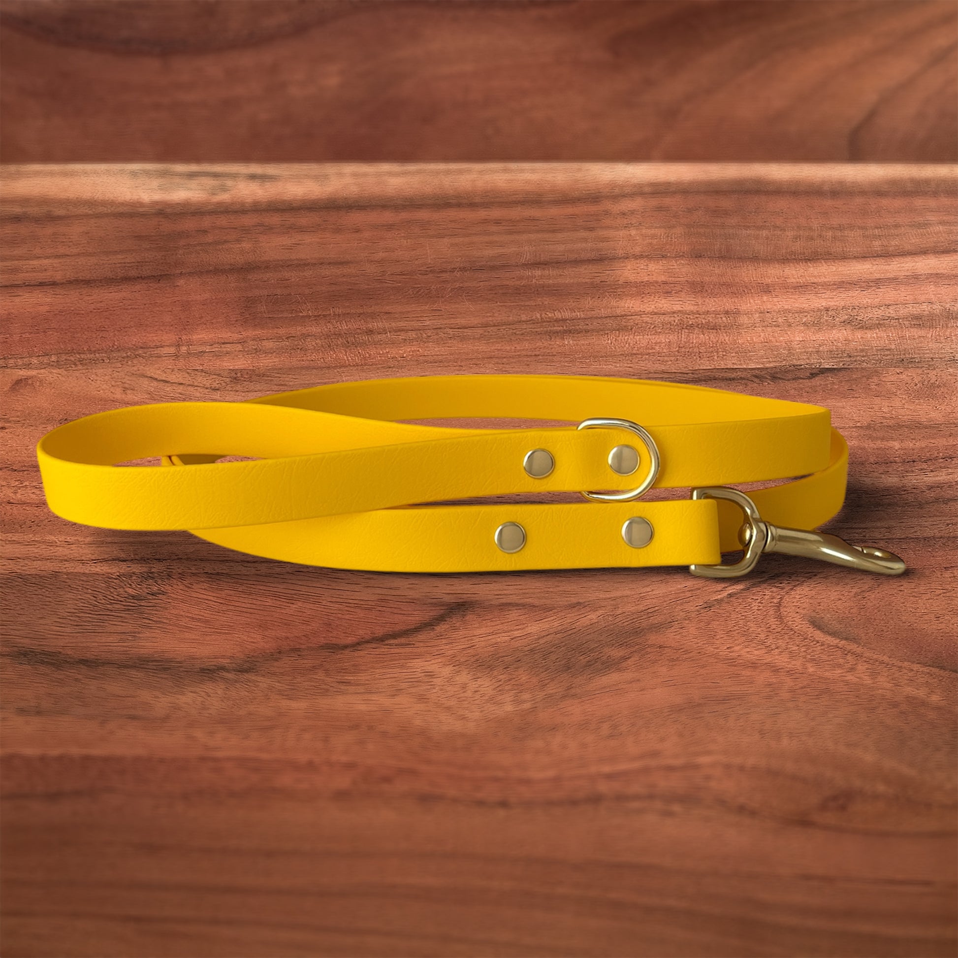 Egg Leash - FoxMoth - Pet Collars & Harnesses