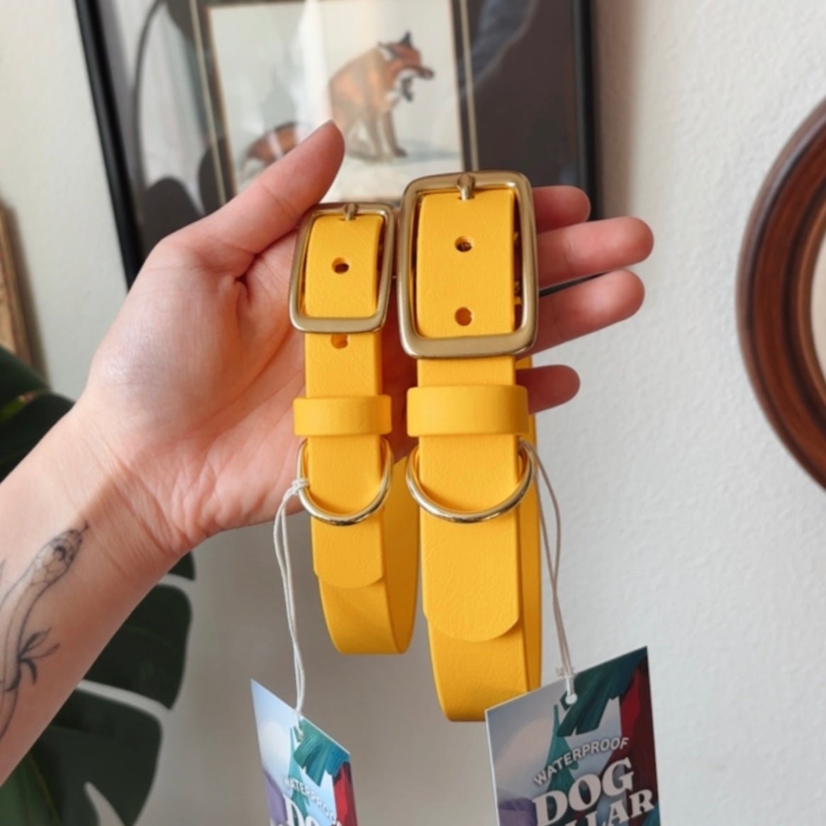 egg buckle collar - FoxMoth - Pet Collars & Harnesses