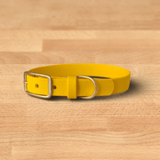 egg buckle collar - FoxMoth - Pet Collars & Harnesses