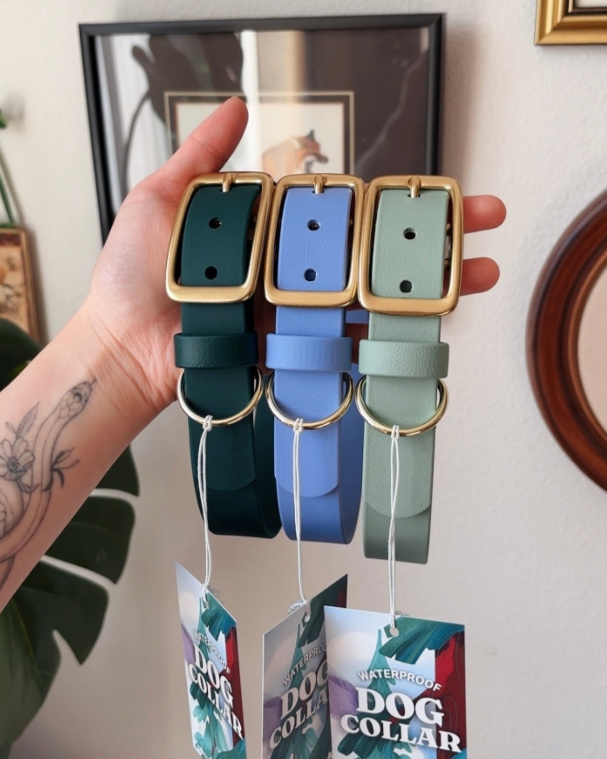 evergreen buckle collar - FoxMoth - Pet Collars & Harnesses