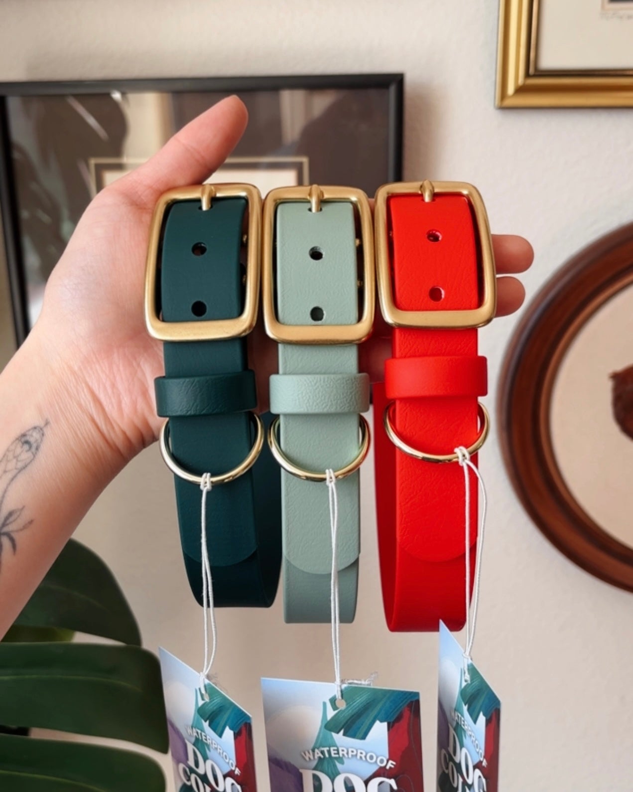 sage buckle collar - FoxMoth - Pet Collars & Harnesses