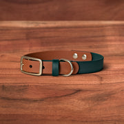 Sienna x Evergreen Buckle Collar - FoxMoth - Pet Collars & Harnesses