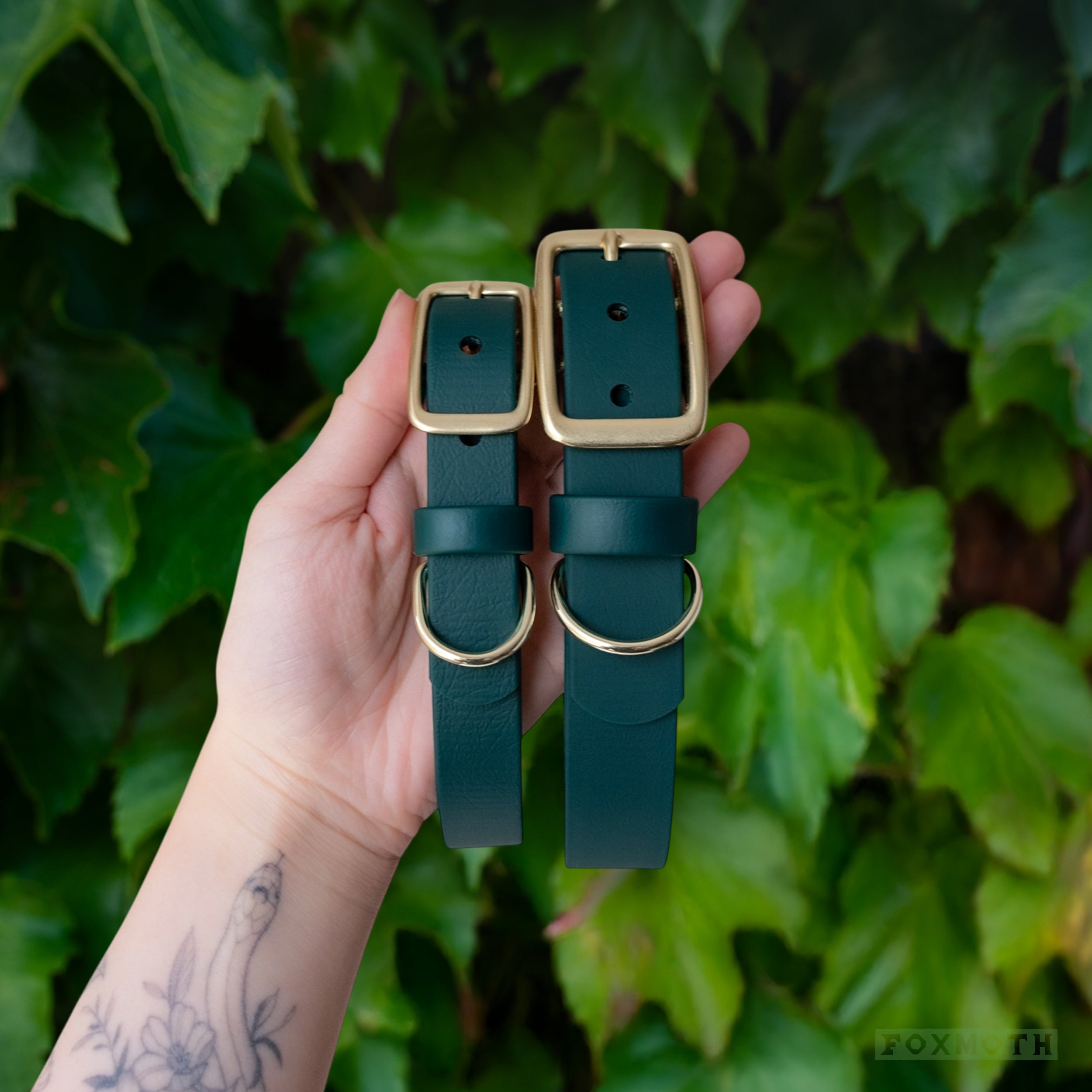 Evergreen Buckle Collar - FoxMoth - Pet Collars & Harnesses