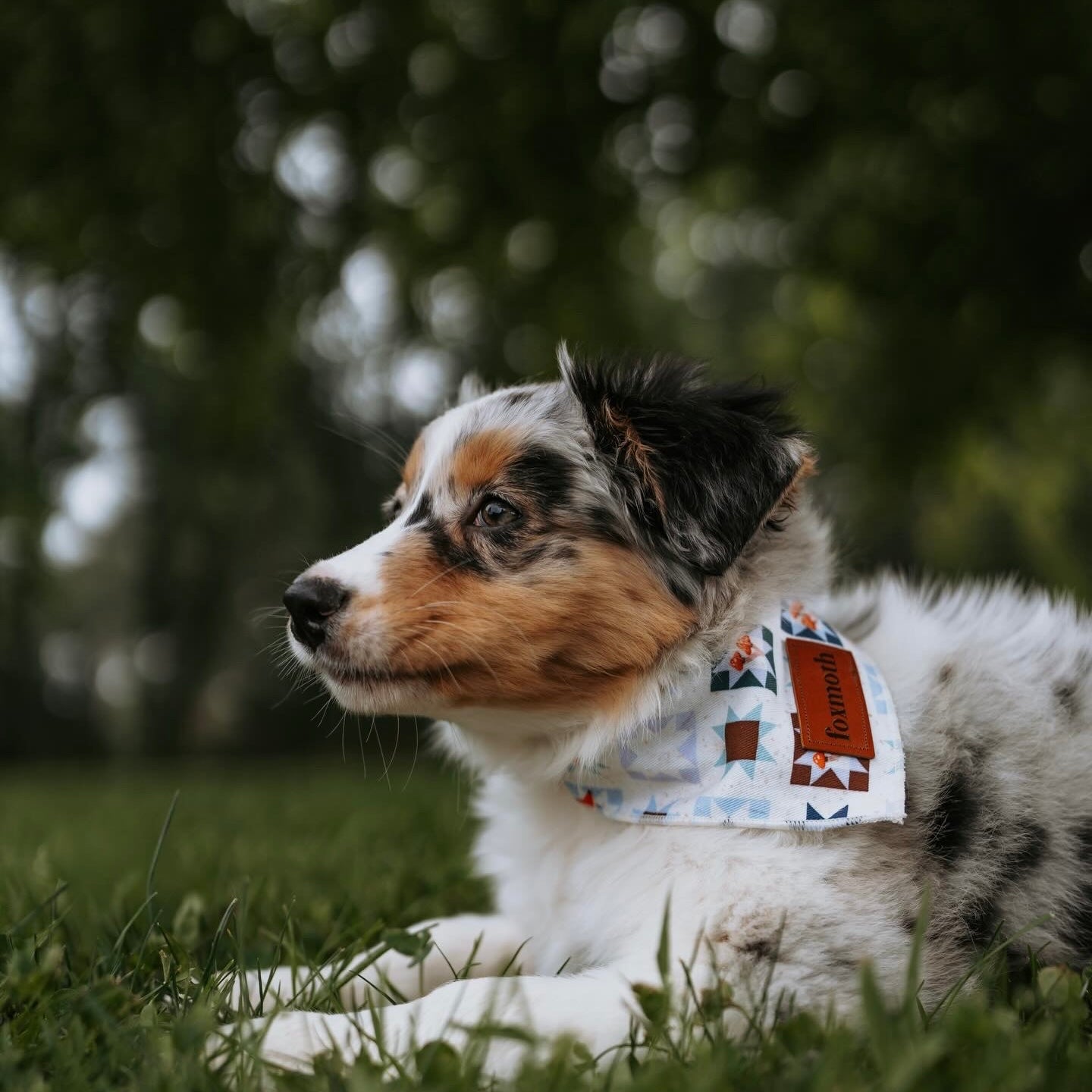 Foxshrooms Bandana - FoxMoth - Bandana