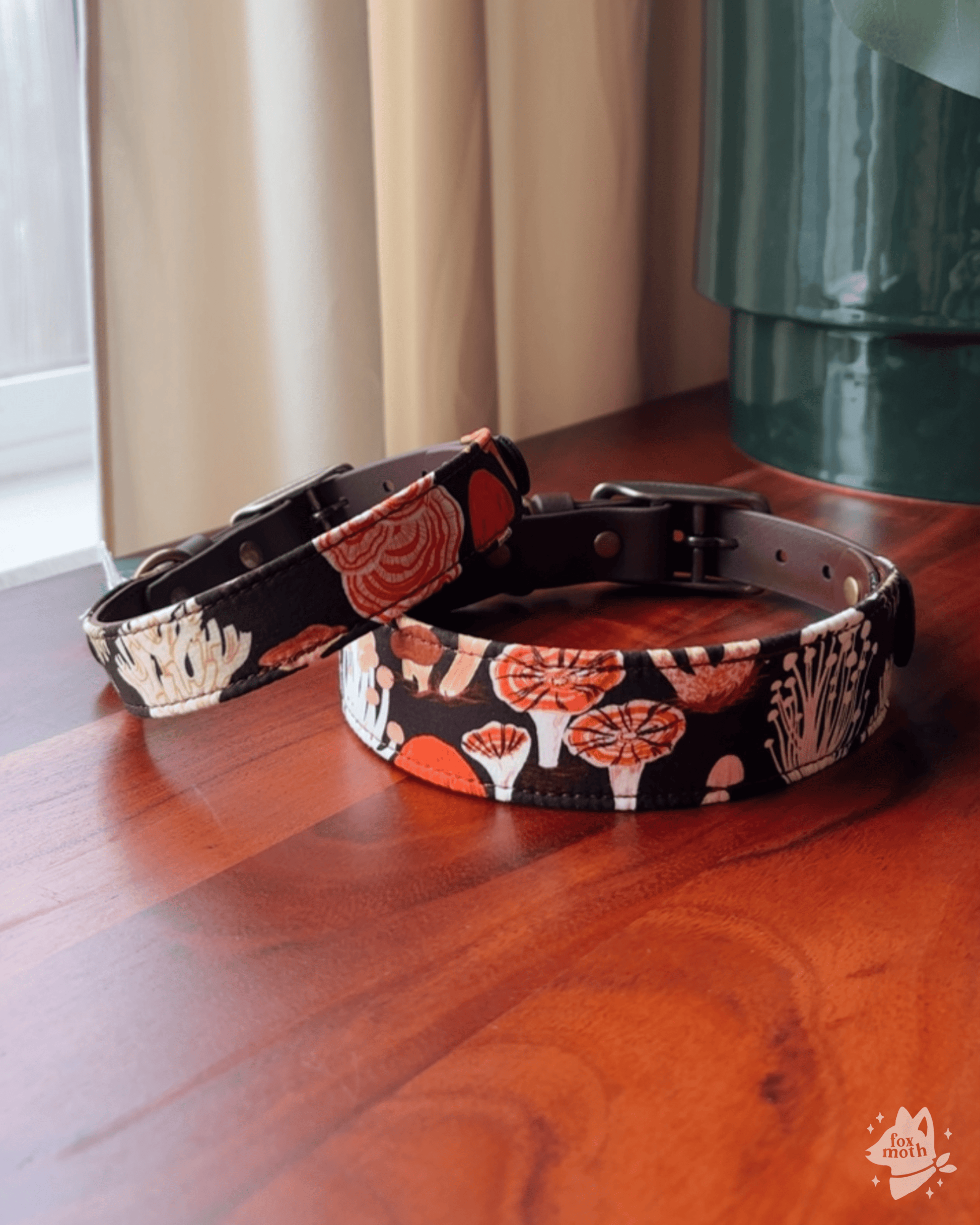 forager collar - FoxMoth - Leather Dog Collar