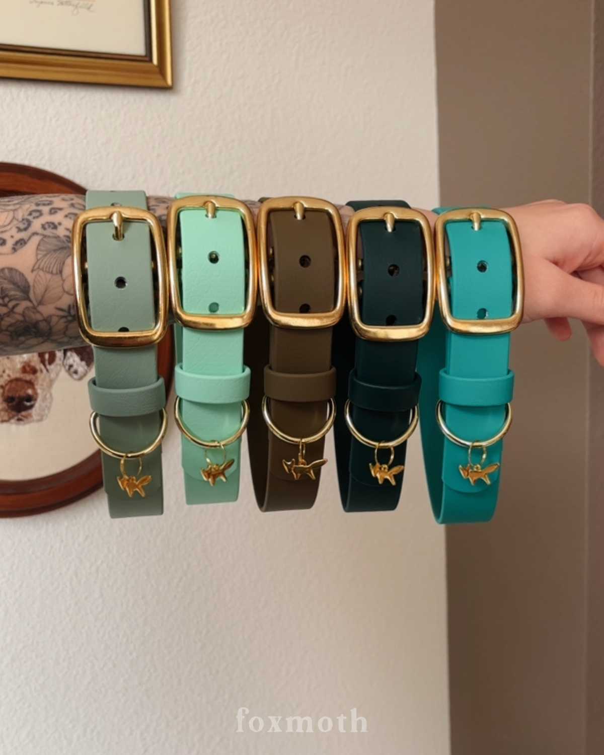 alpine buckle collar