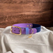 Cosmic Berry Buckle Collar