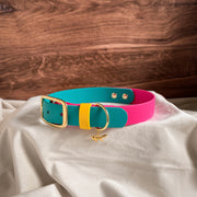 Modern Retro Buckle Collar