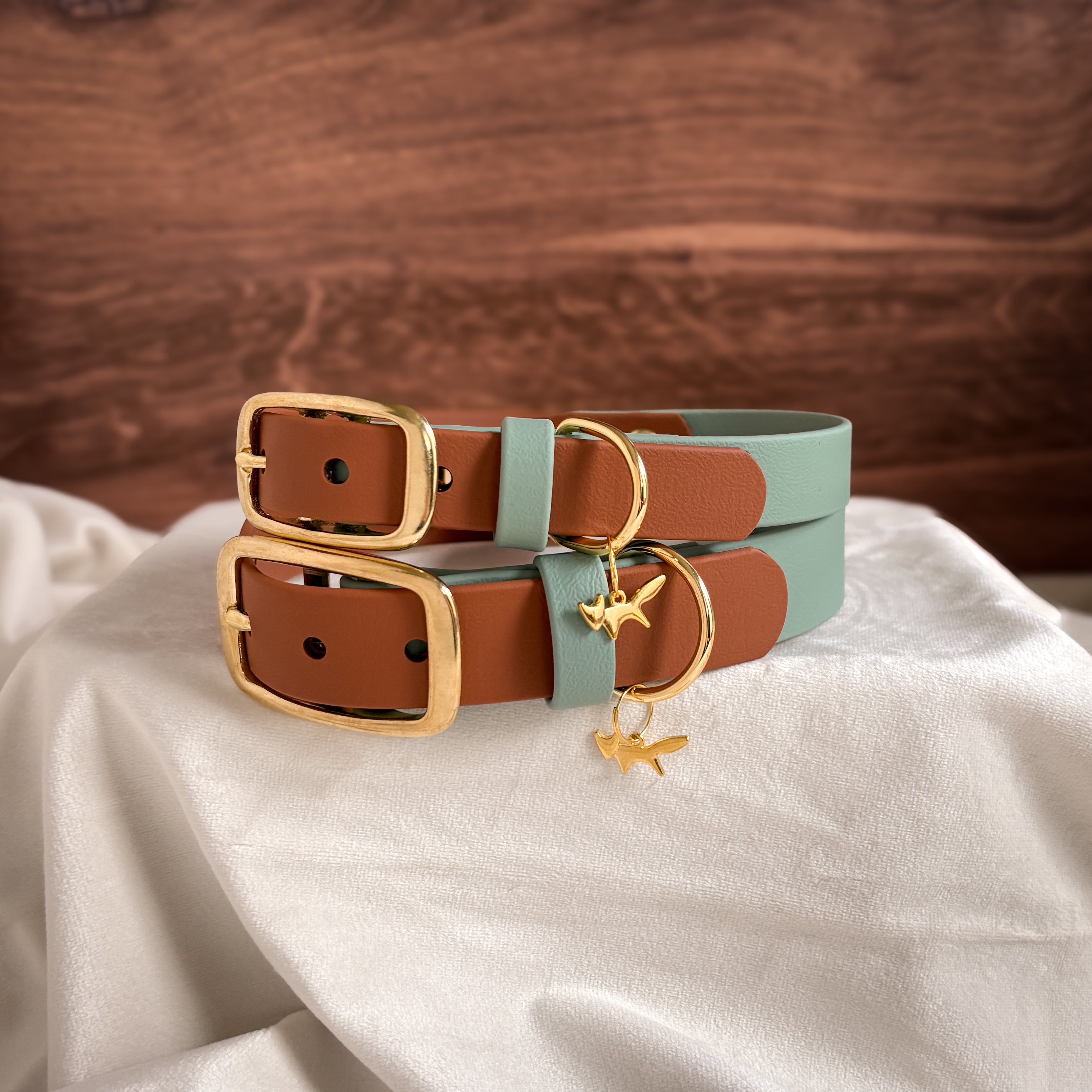 custom waterproof buckle collar