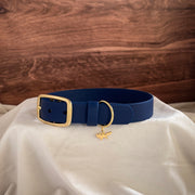 midnight buckle collar