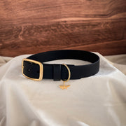black buckle collar