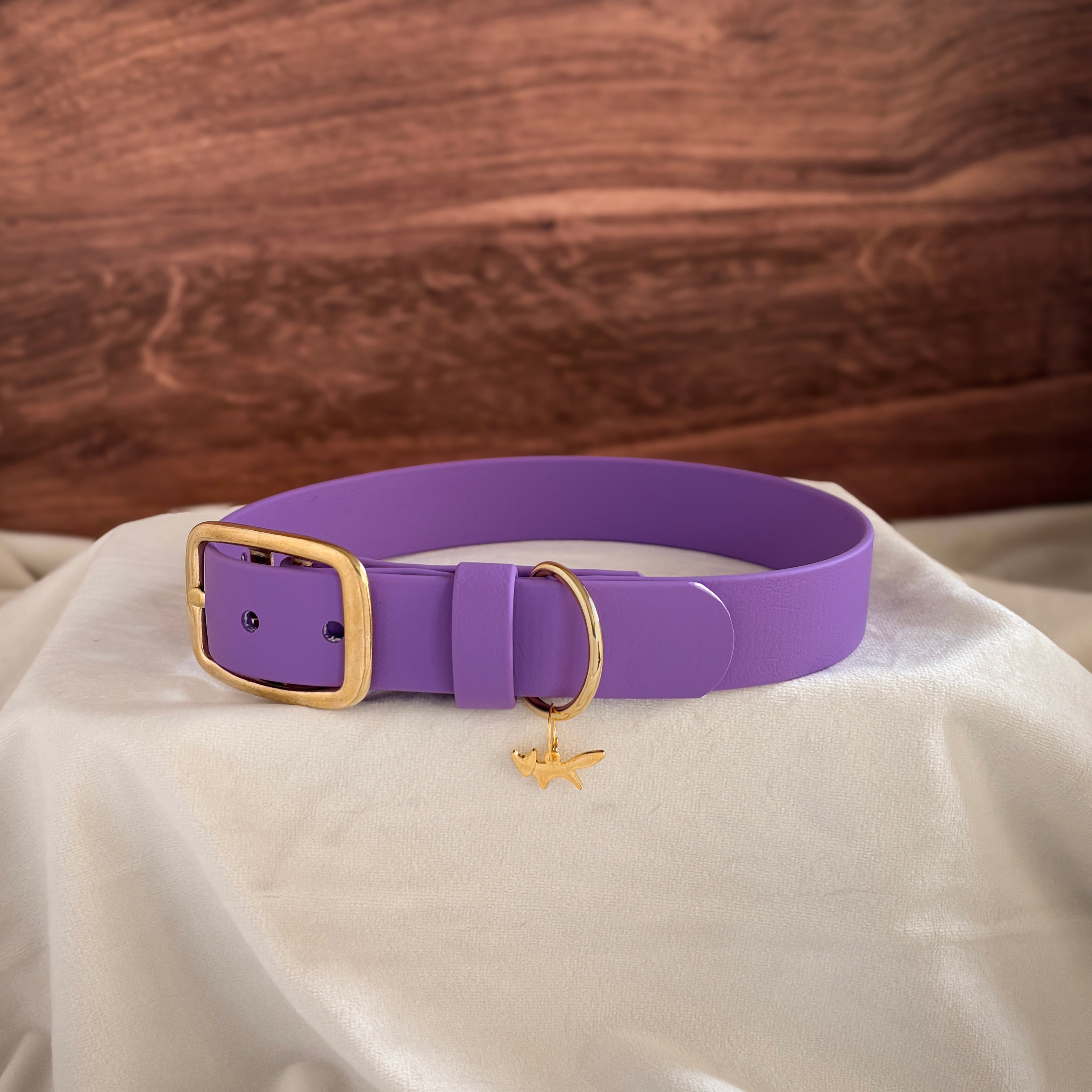 berry buckle collar