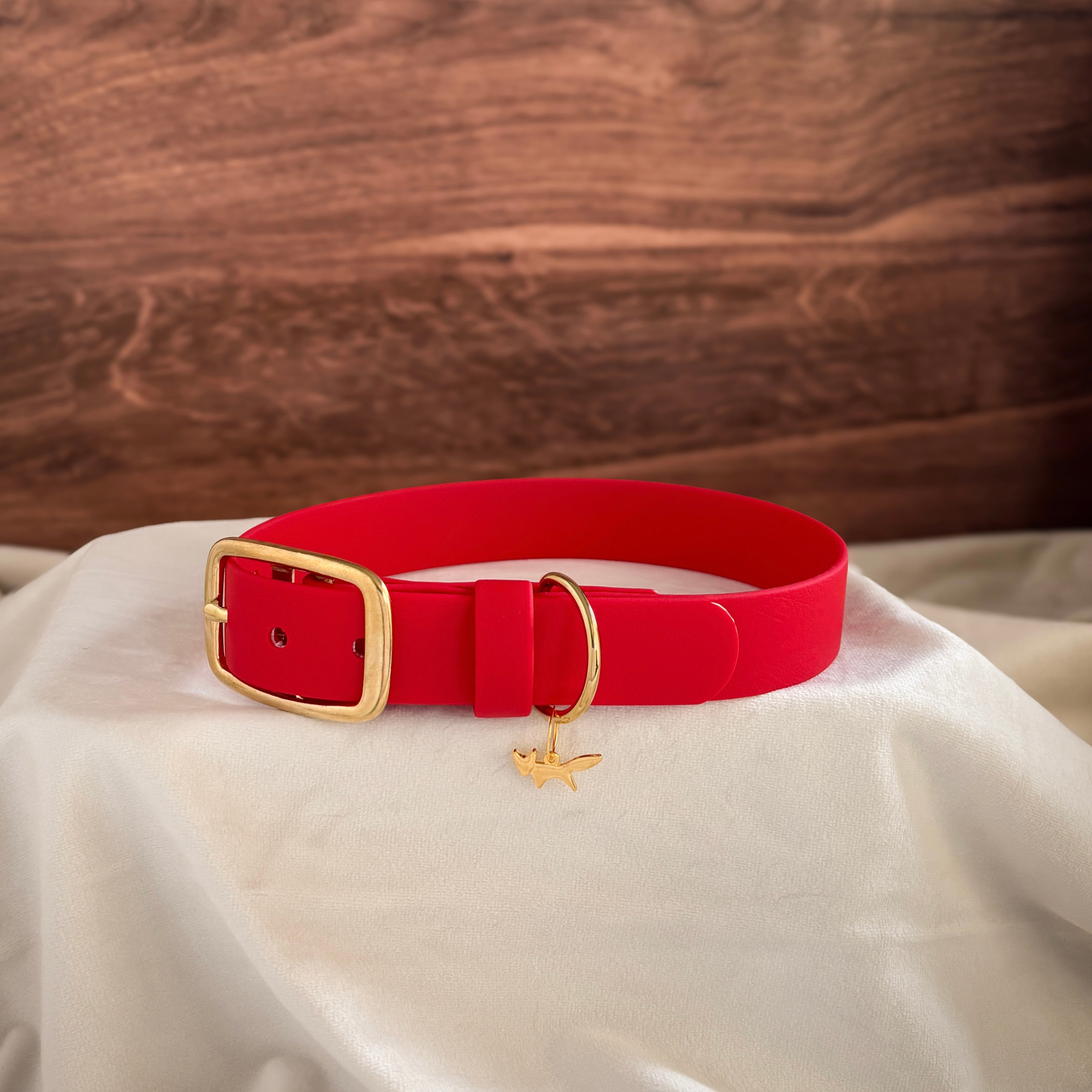 lucky buckle collar