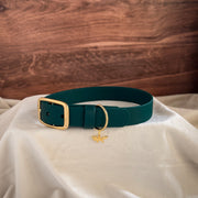 evergreen buckle collar