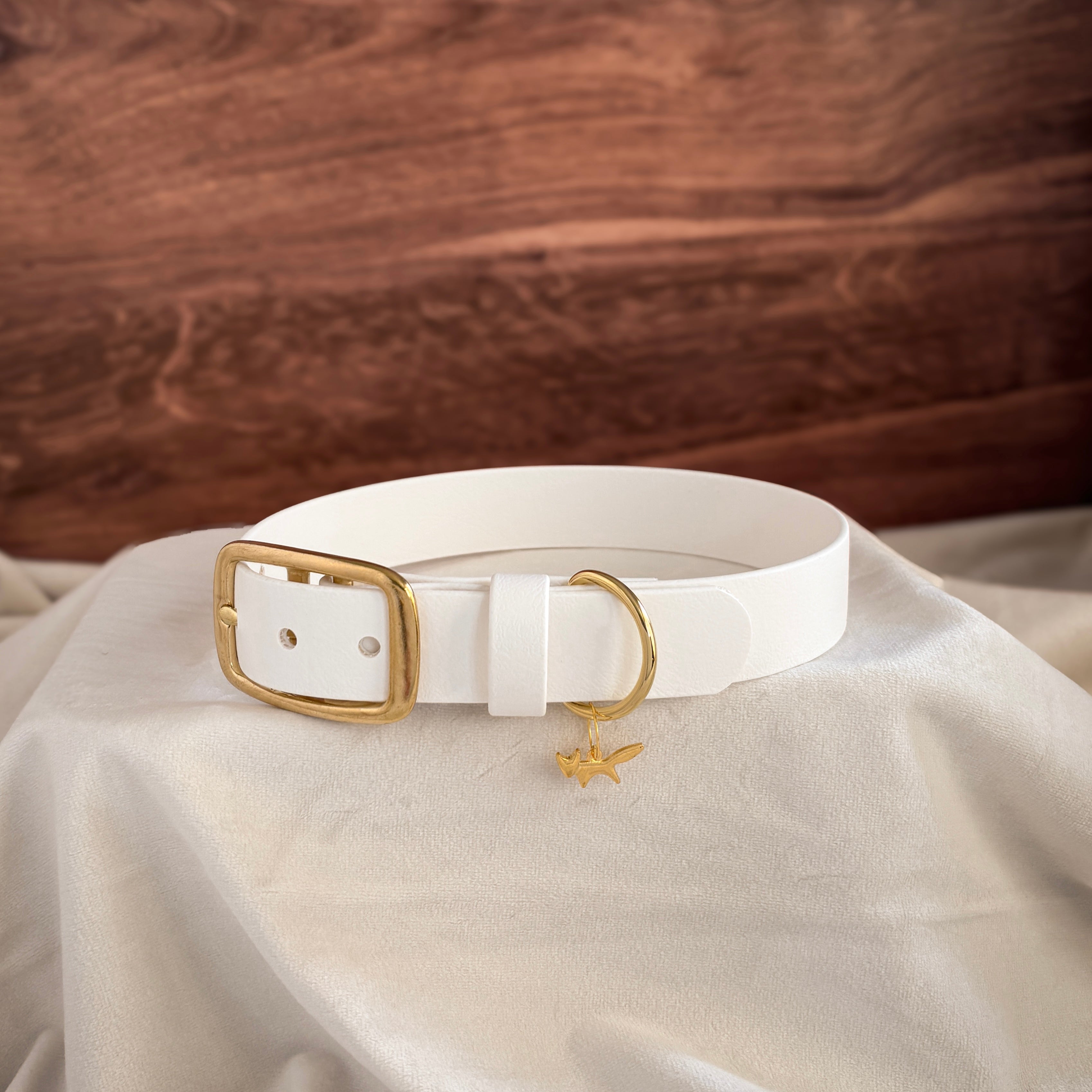 white buckle collar