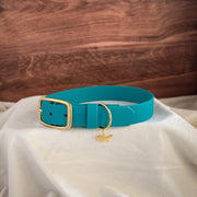 alpine buckle collar