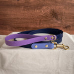 Cosmic Berry Leash