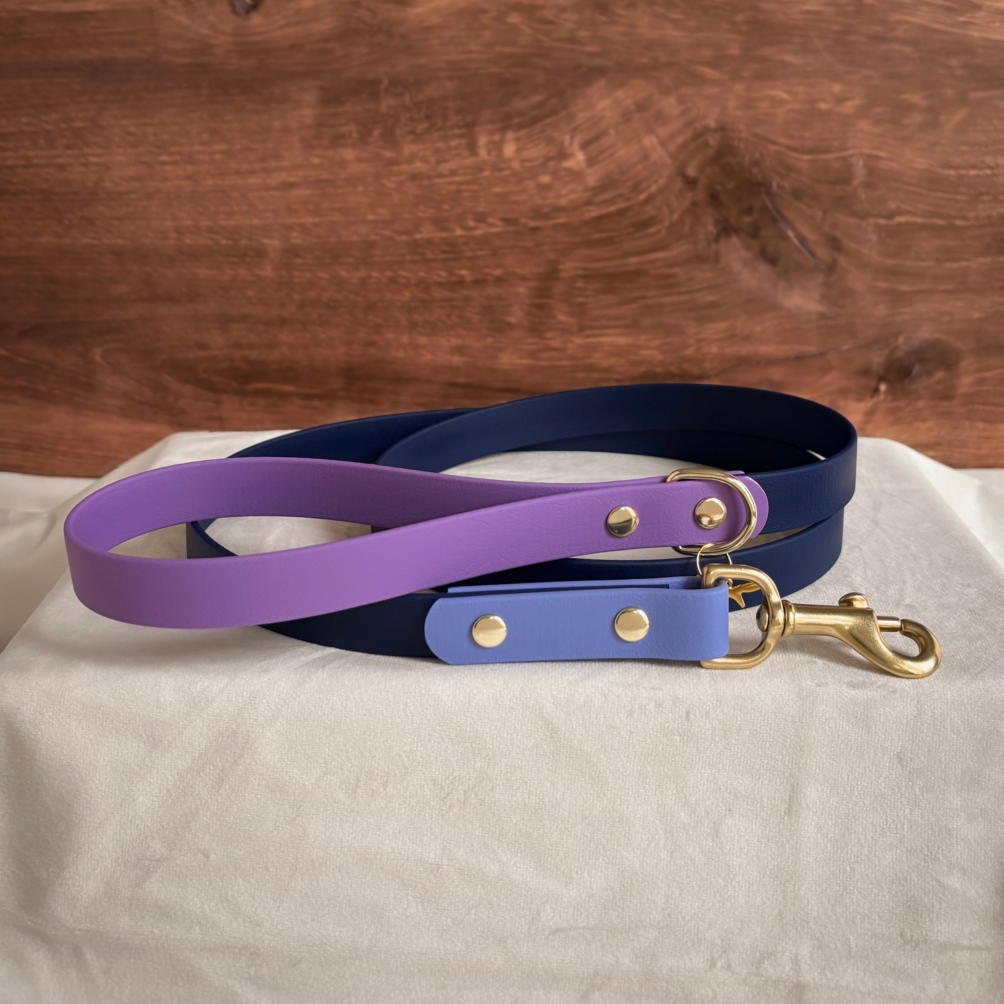 Cosmic Berry Leash