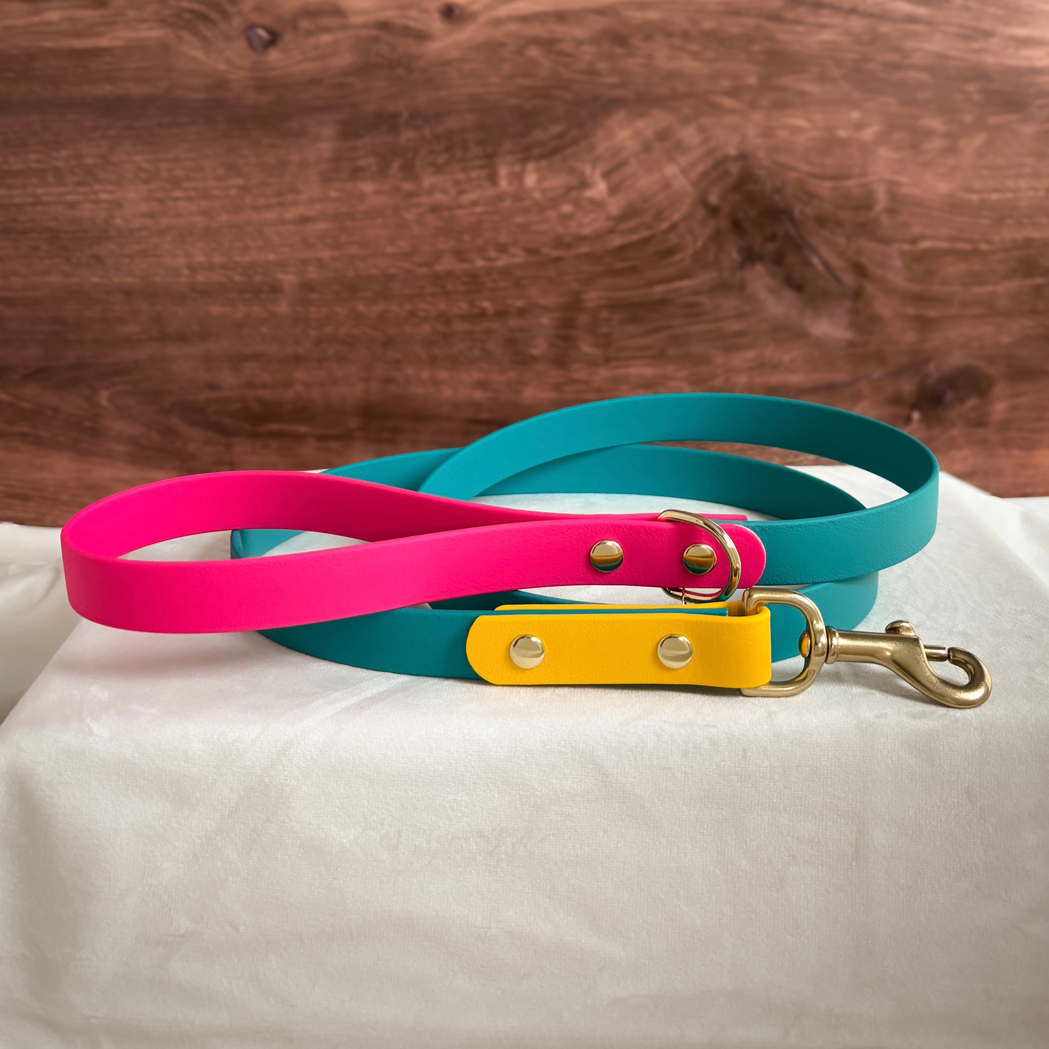 Modern Retro Leash