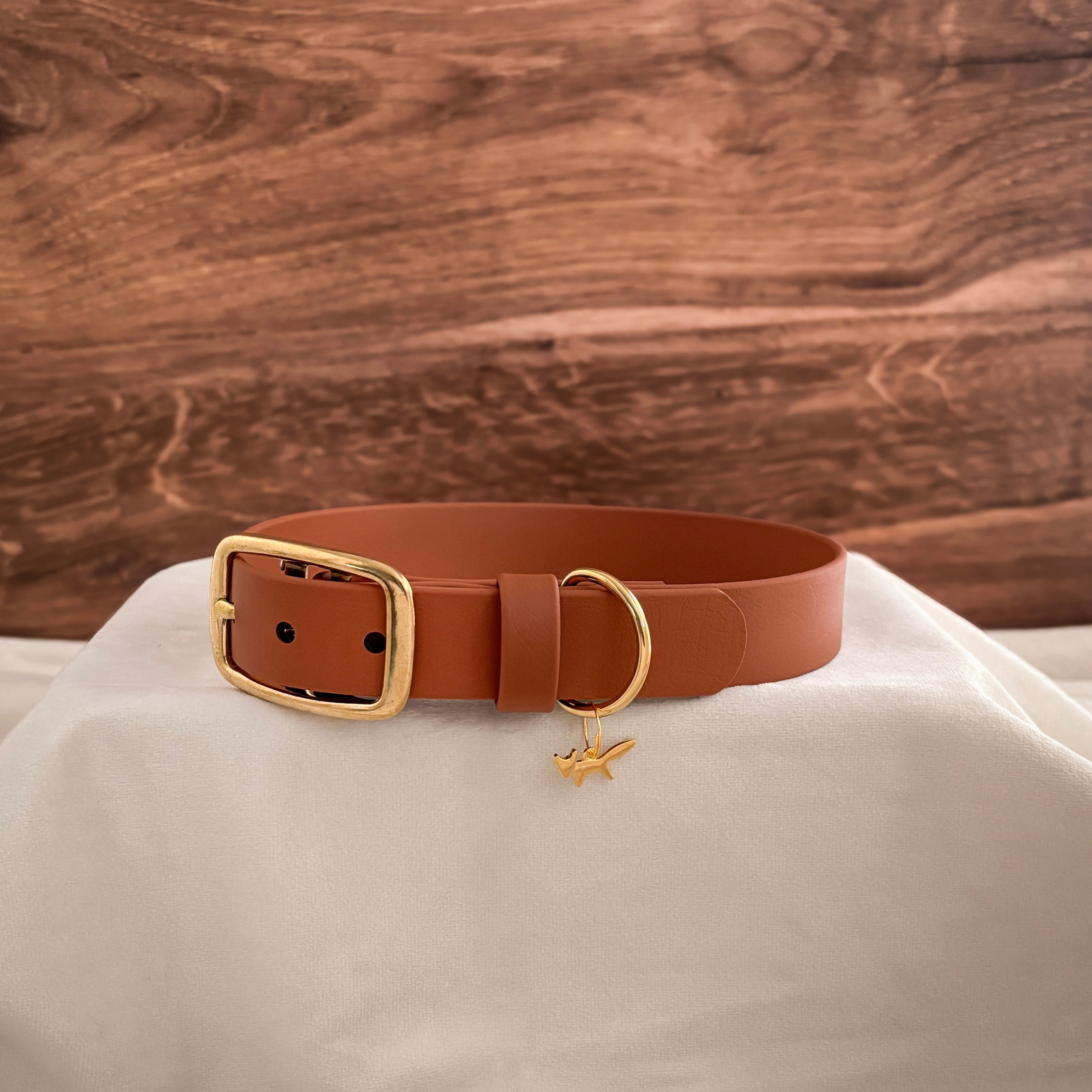 sienna buckle collar
