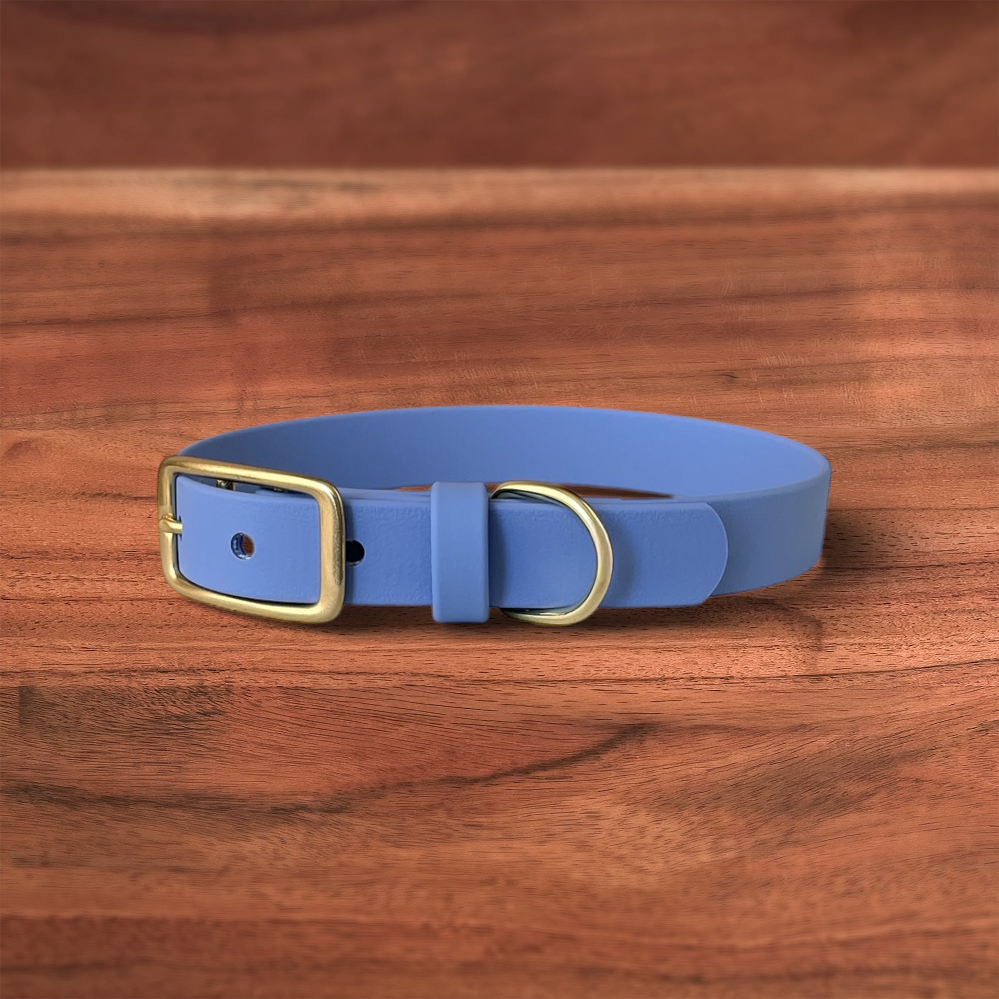 Iris Buckle Collar - FoxMoth - Pet Collars & Harnesses