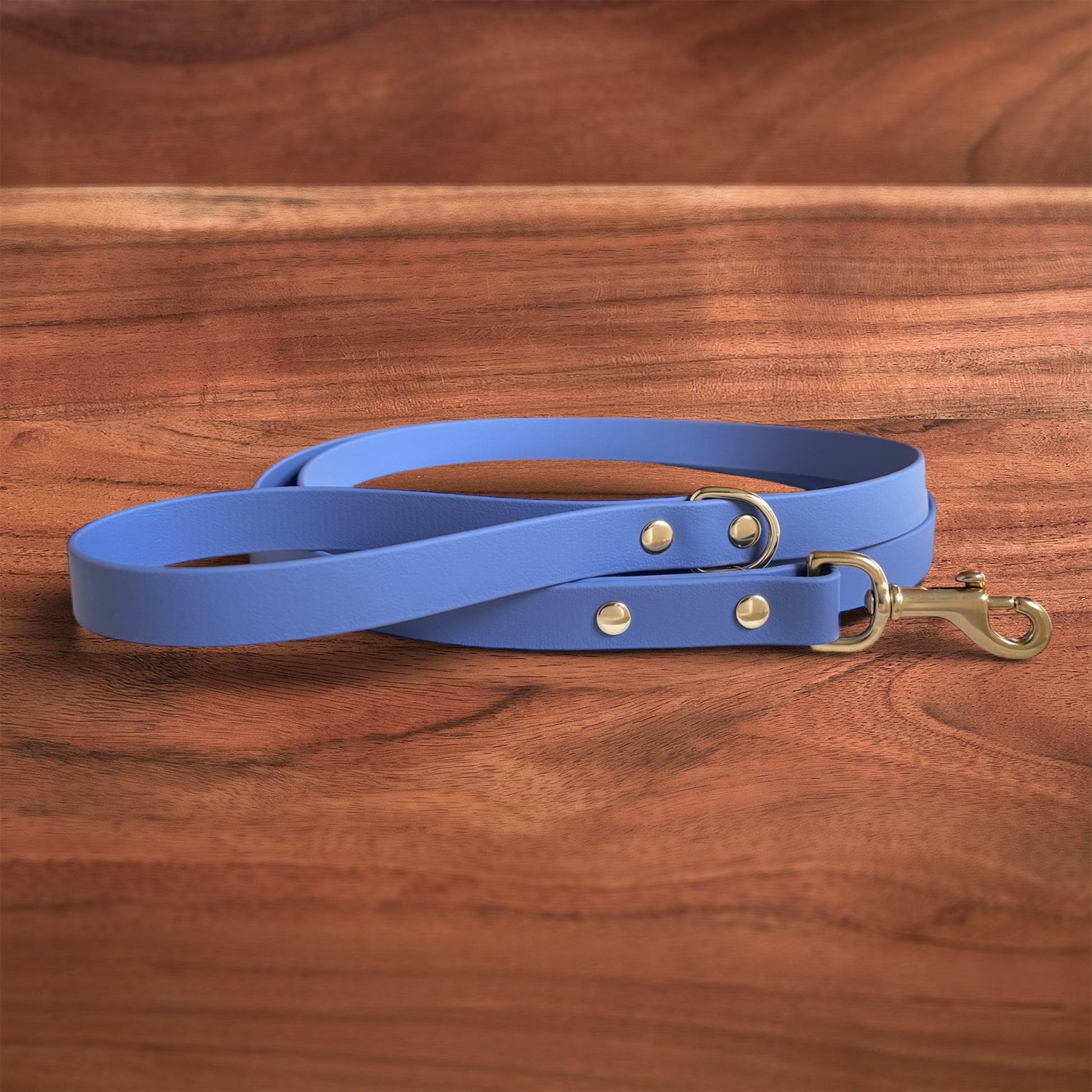 Iris Leash - FoxMoth - Pet Collars & Harnesses
