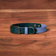 Iris x Evergreen Buckle Collar - FoxMoth - Pet Collars & Harnesses
