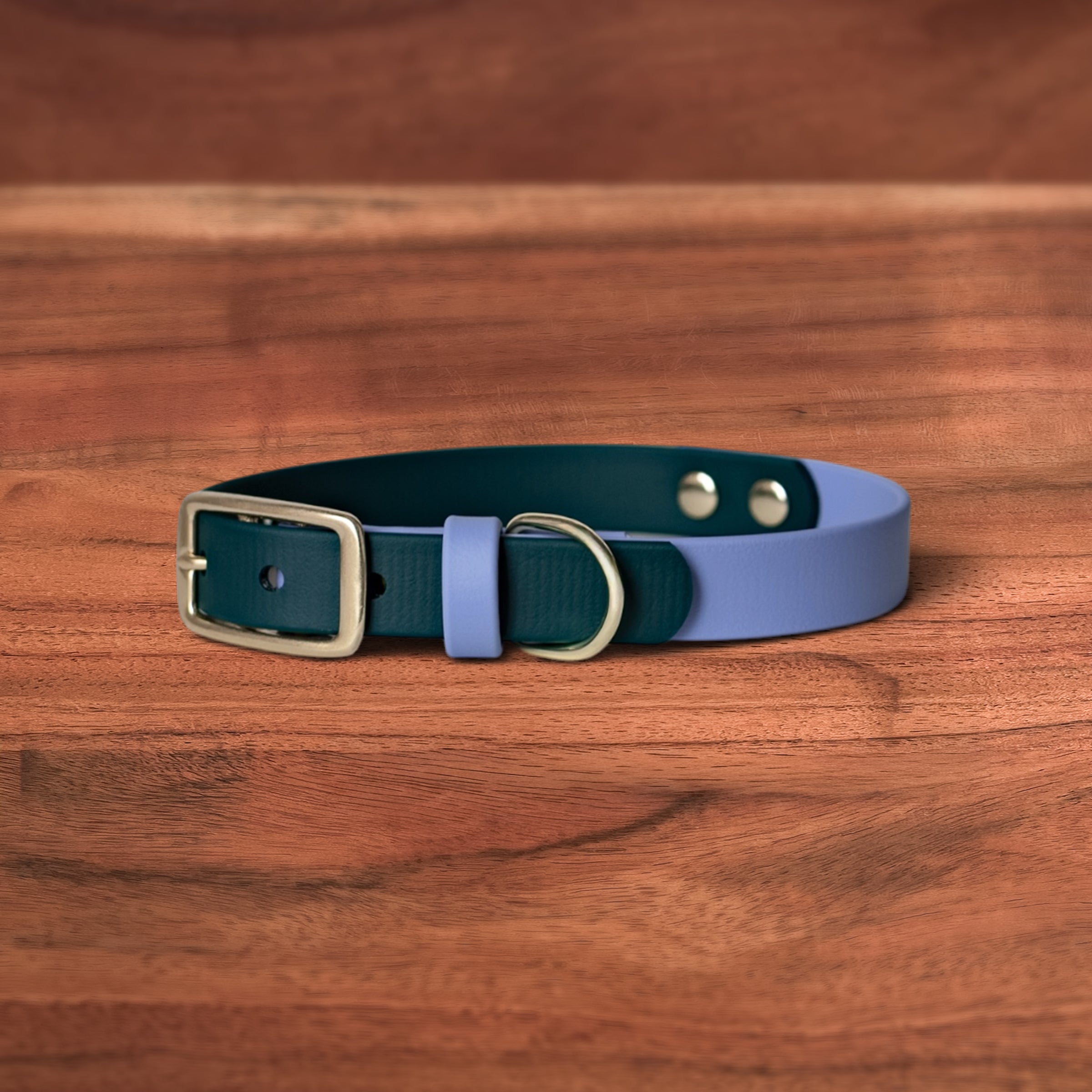Iris x Evergreen Buckle Collar - FoxMoth - Pet Collars & Harnesses
