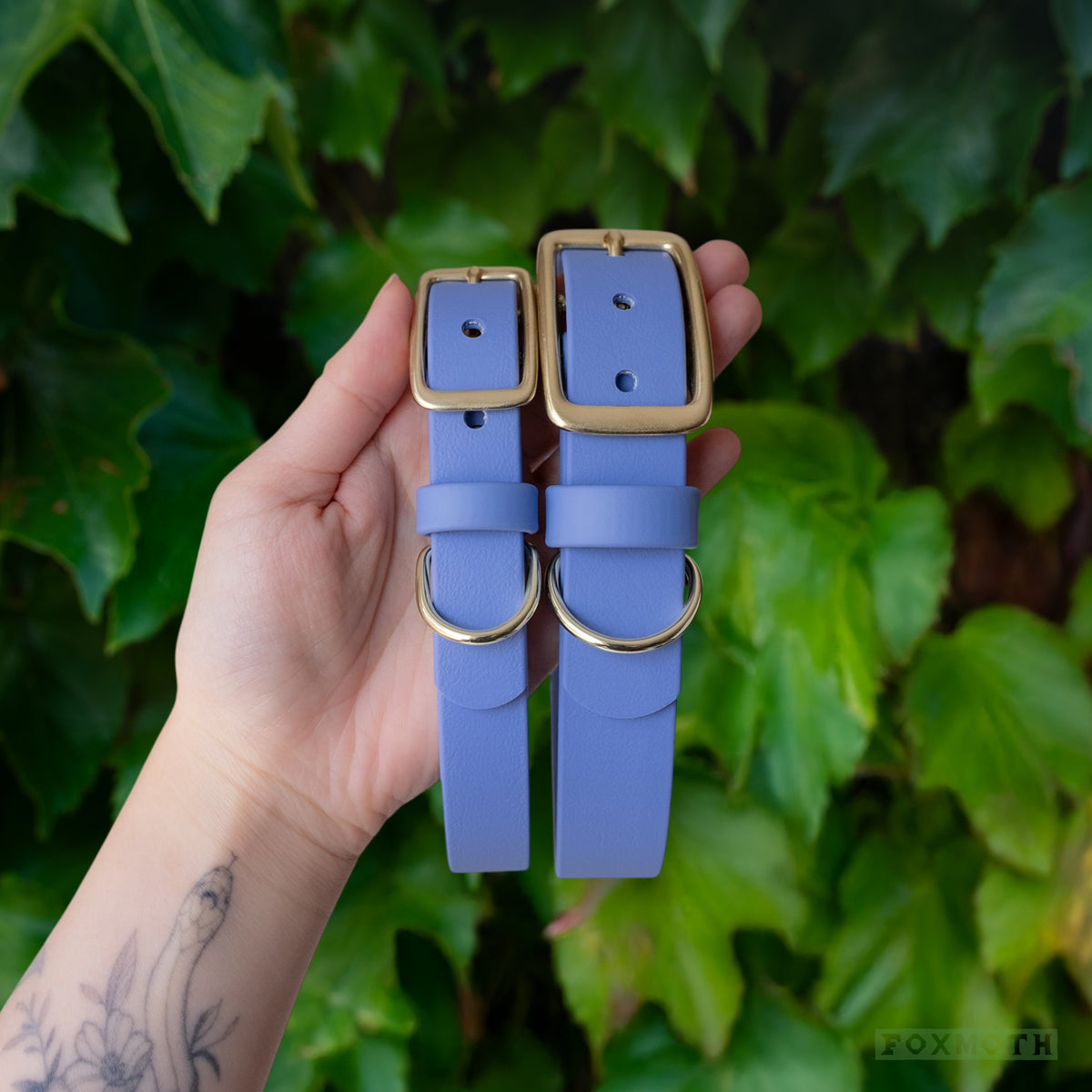 Iris Buckle Collar - FoxMoth - Pet Collars & Harnesses