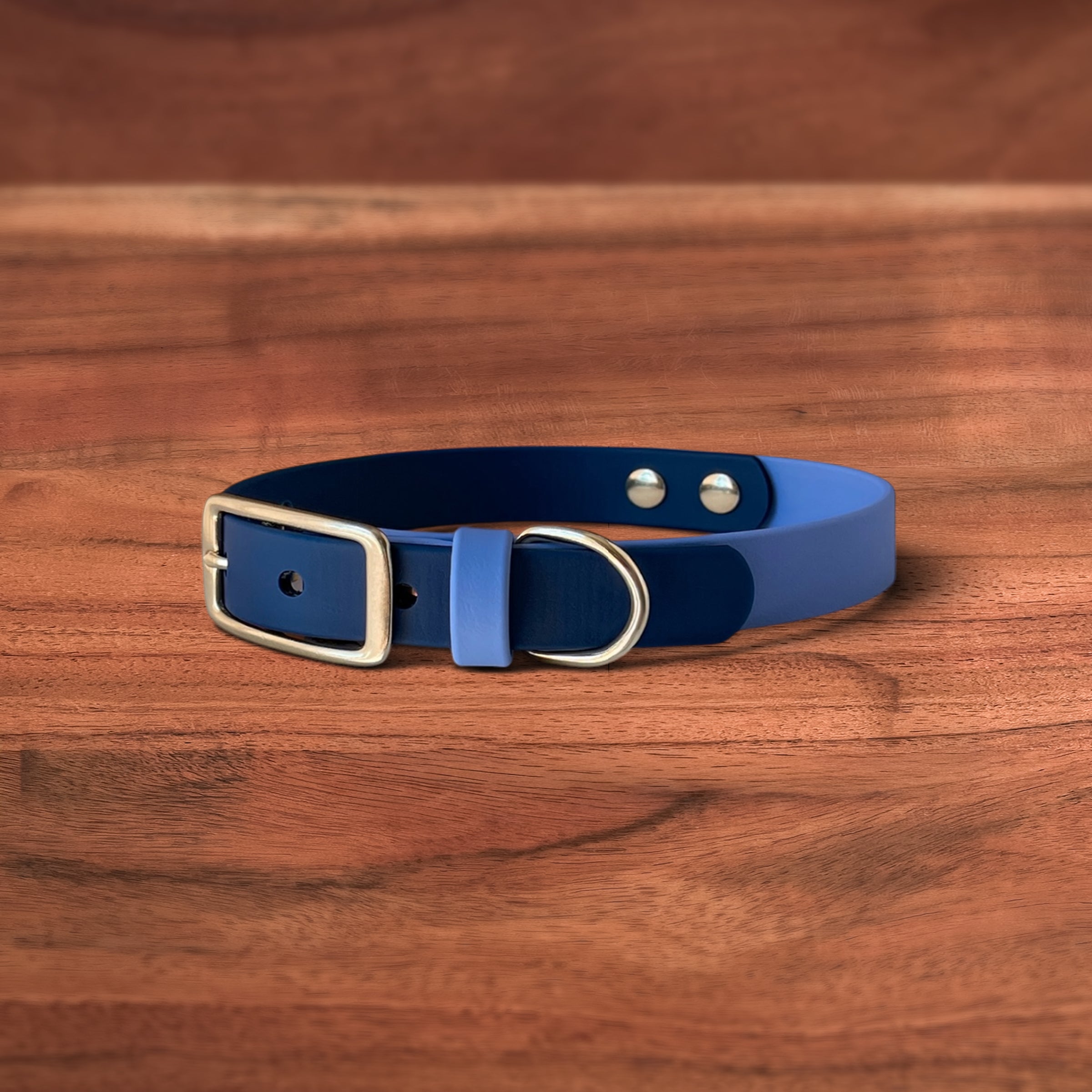 Two Tone Buckle Collars - FoxMoth - Pet Collars & Harnesses