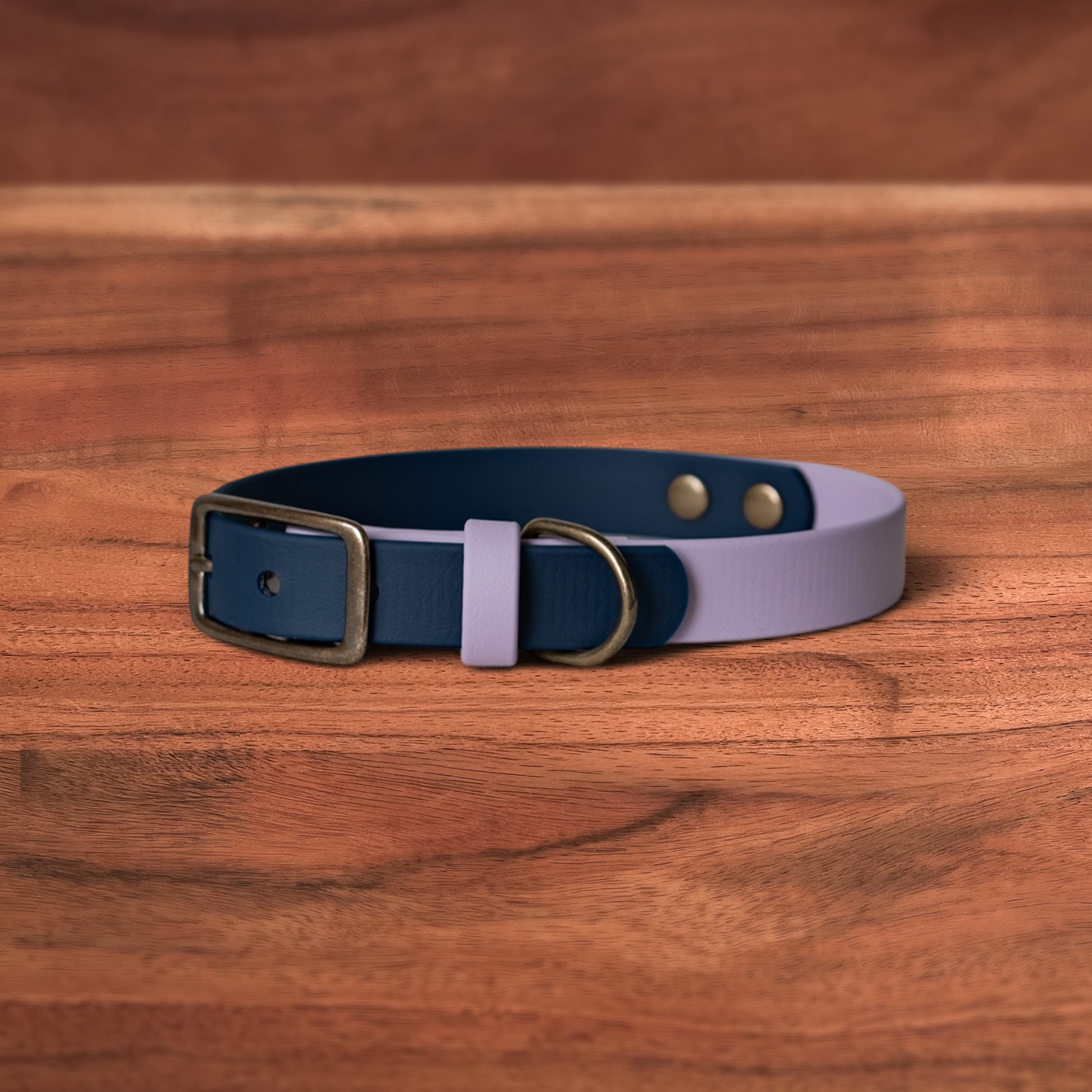 Lavender x Midnight Buckle Collar - FoxMoth - Pet Collars & Harnesses