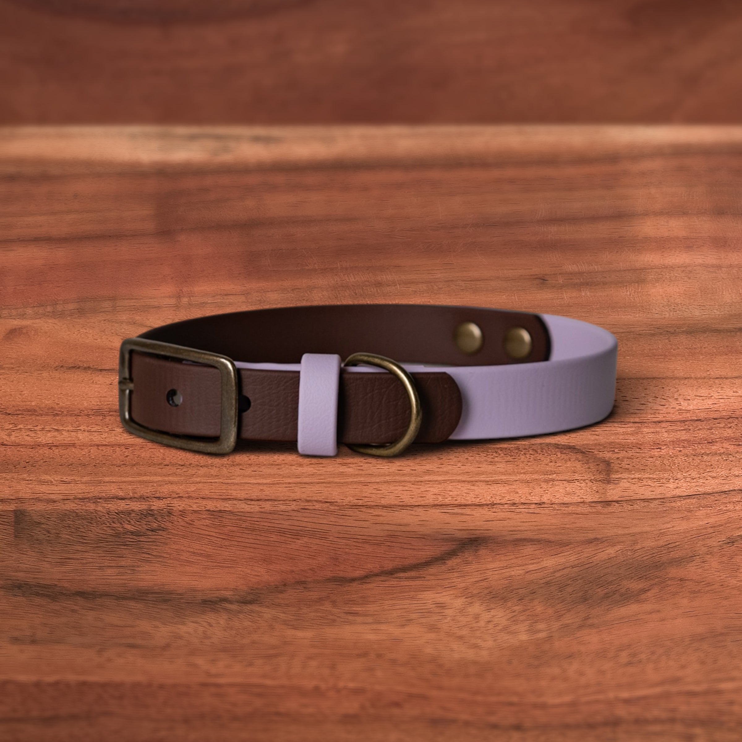 Saddle x Lavender Buckle Collar - FoxMoth - Pet Collars & Harnesses