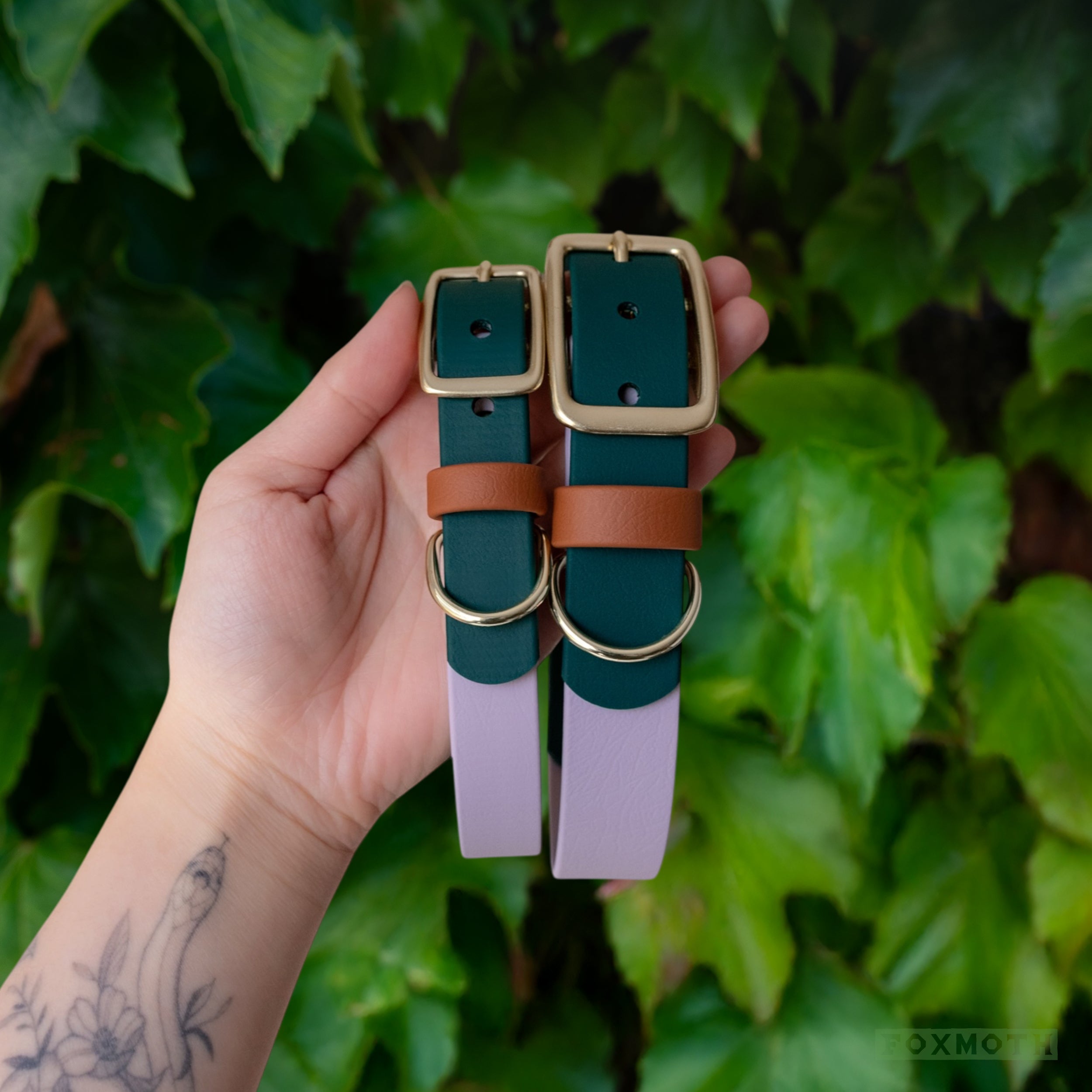 Custom Waterproof Buckle Collar - FoxMoth - Pet Collars & Harnesses