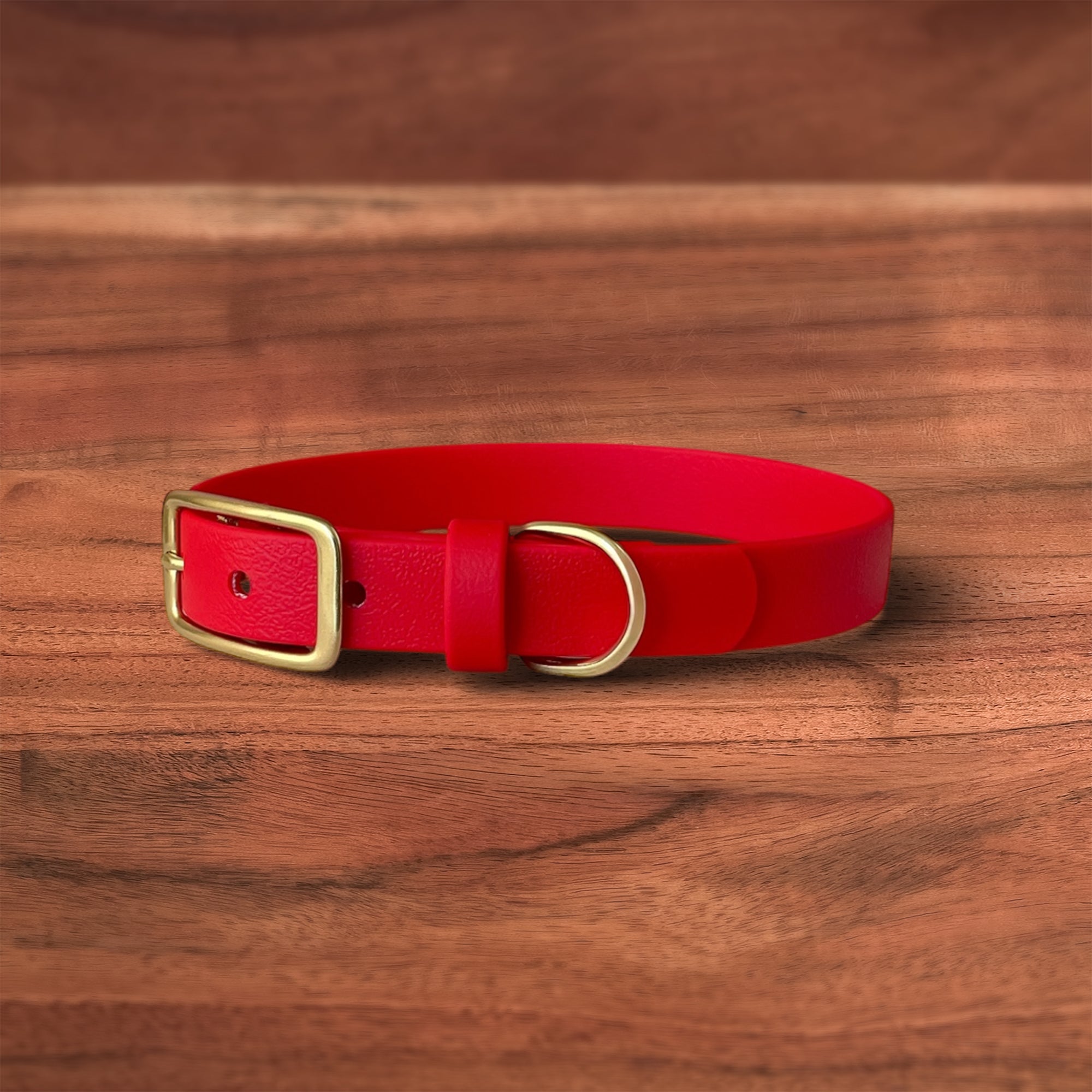 Lucky Buckle Collar - FoxMoth - Pet Collars & Harnesses
