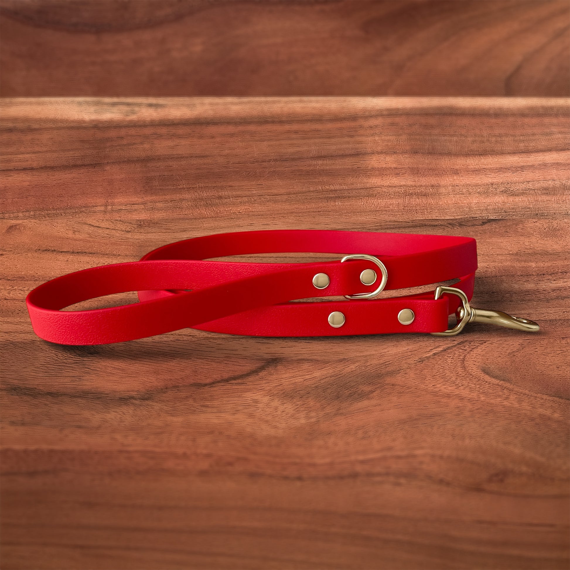 Lucky Leash - FoxMoth - Pet Collars & Harnesses