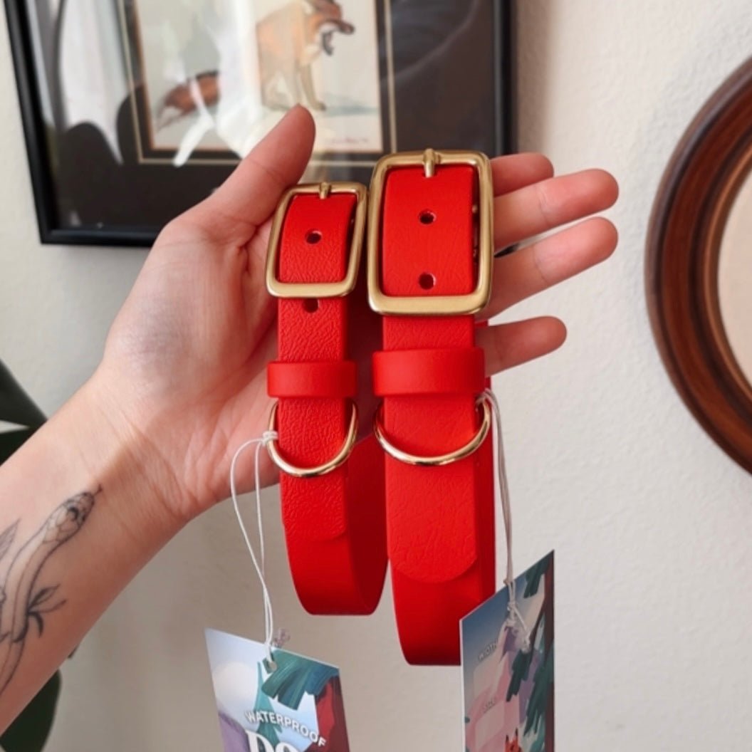 lucky buckle collar - FoxMoth - Pet Collars & Harnesses