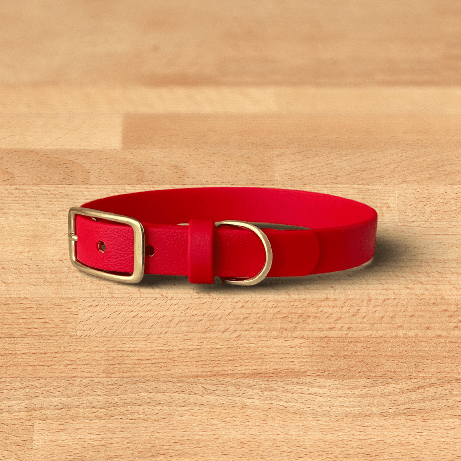 lucky buckle collar - FoxMoth - Pet Collars & Harnesses