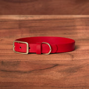 Lucky Buckle Collar - FoxMoth - Pet Collars & Harnesses