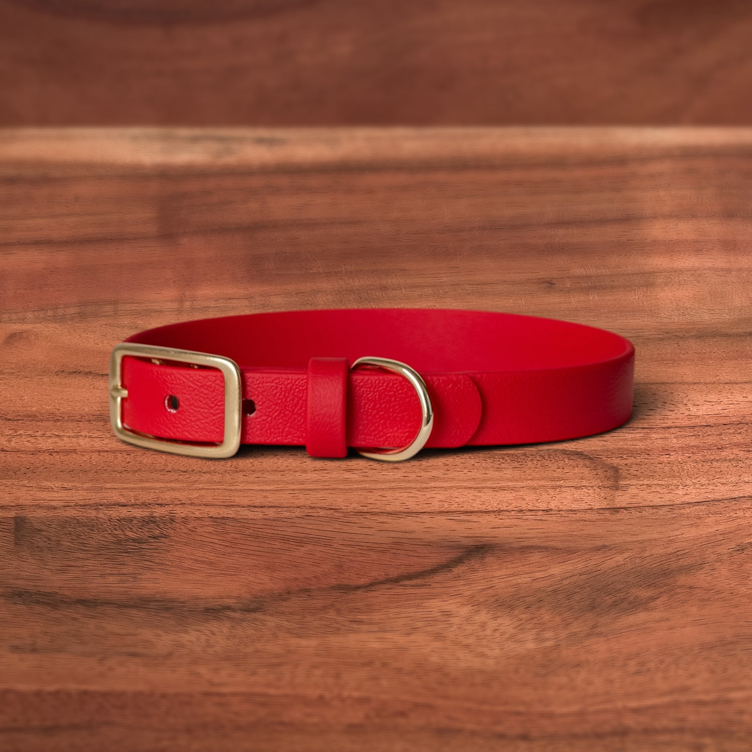 Lucky Buckle Collar - FoxMoth - Pet Collars & Harnesses