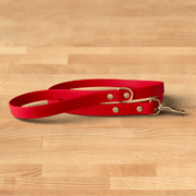 lucky leash - FoxMoth - Pet Collars & Harnesses