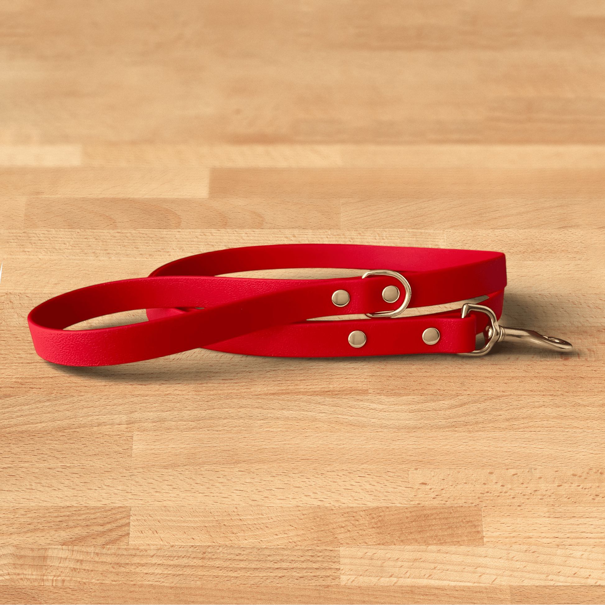 lucky leash - FoxMoth - Pet Collars & Harnesses