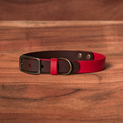 Saddle x Lucky Buckle Collar - FoxMoth - Pet Collars & Harnesses