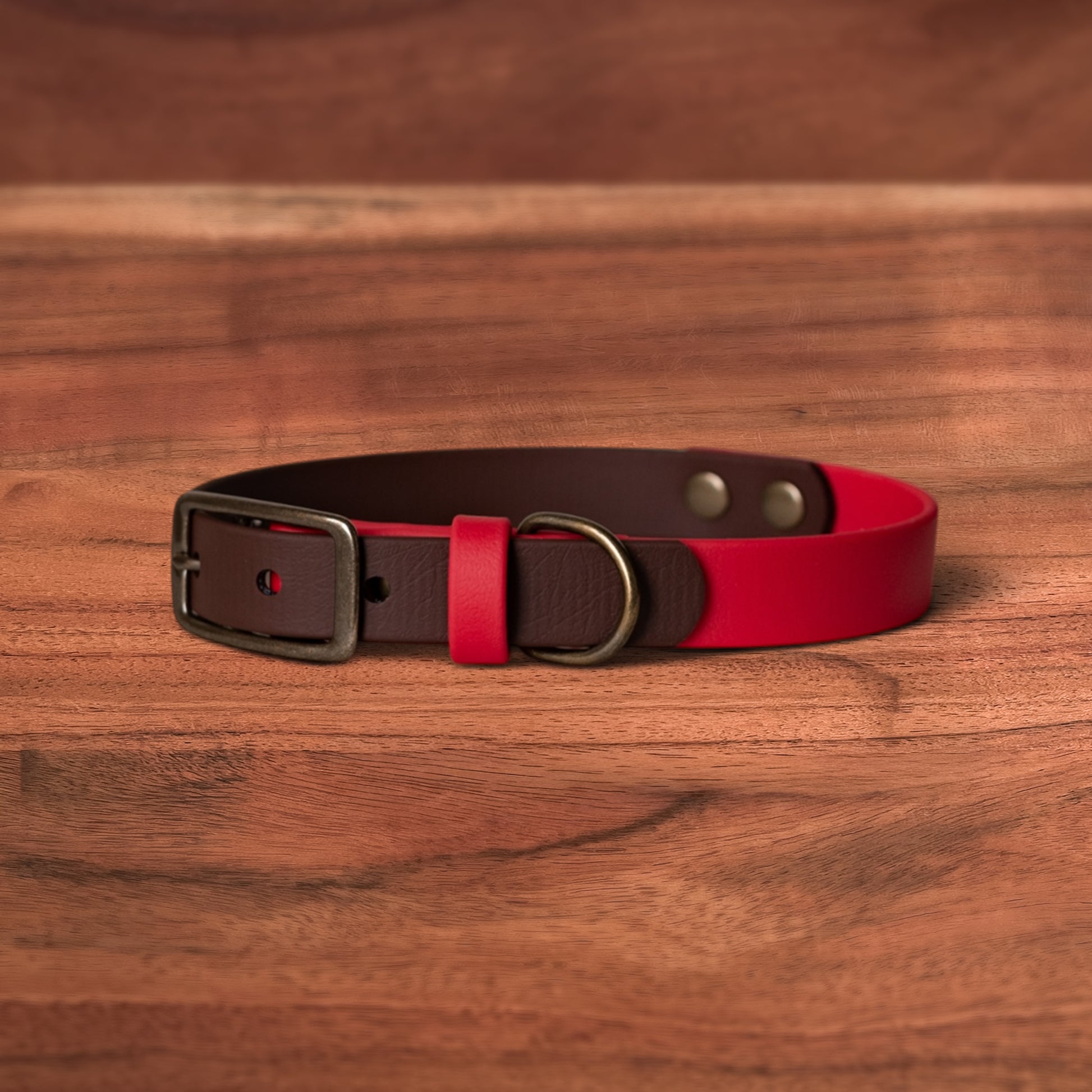 Saddle x Lucky Buckle Collar - FoxMoth - Pet Collars & Harnesses