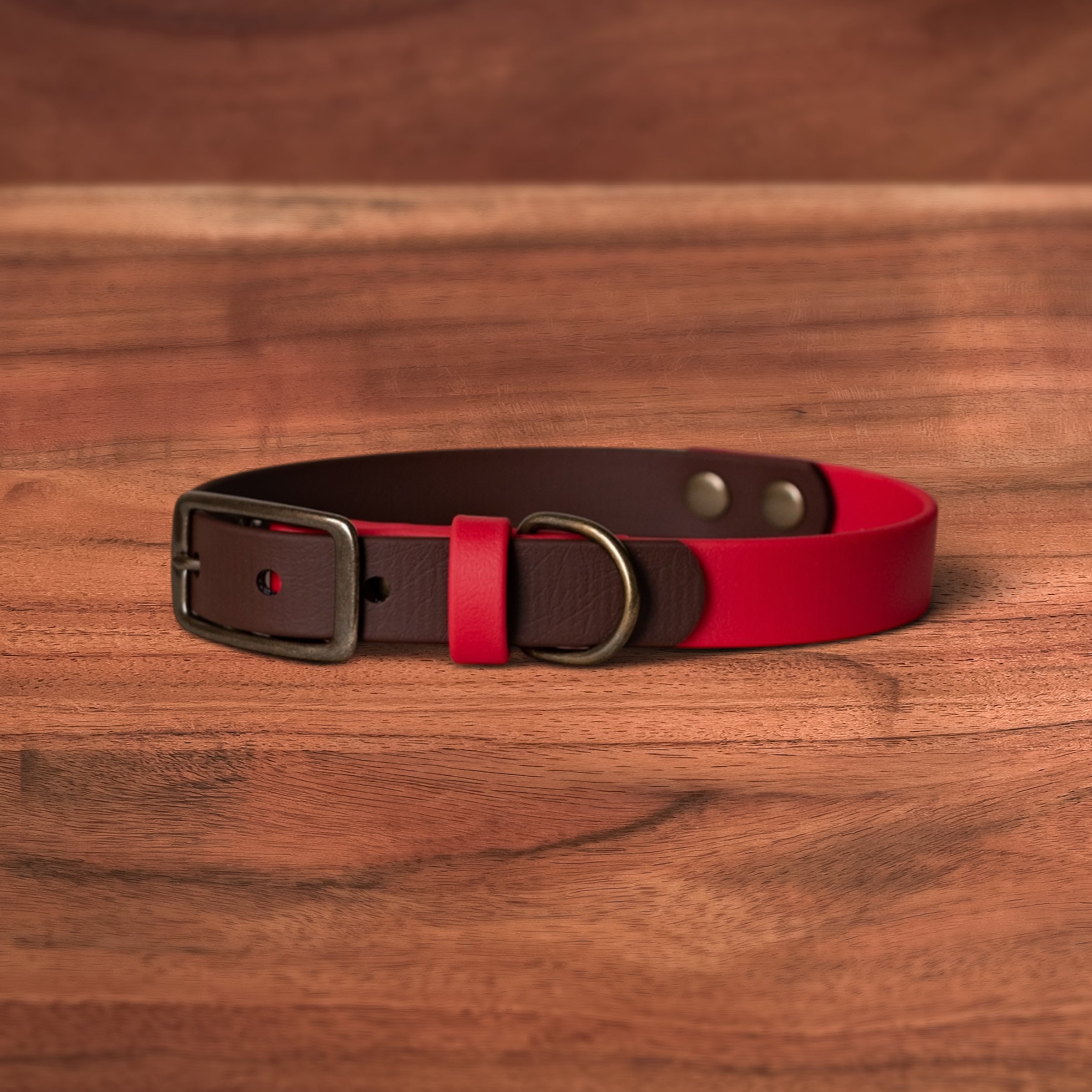 Saddle x Lucky Buckle Collar - FoxMoth - Pet Collars & Harnesses