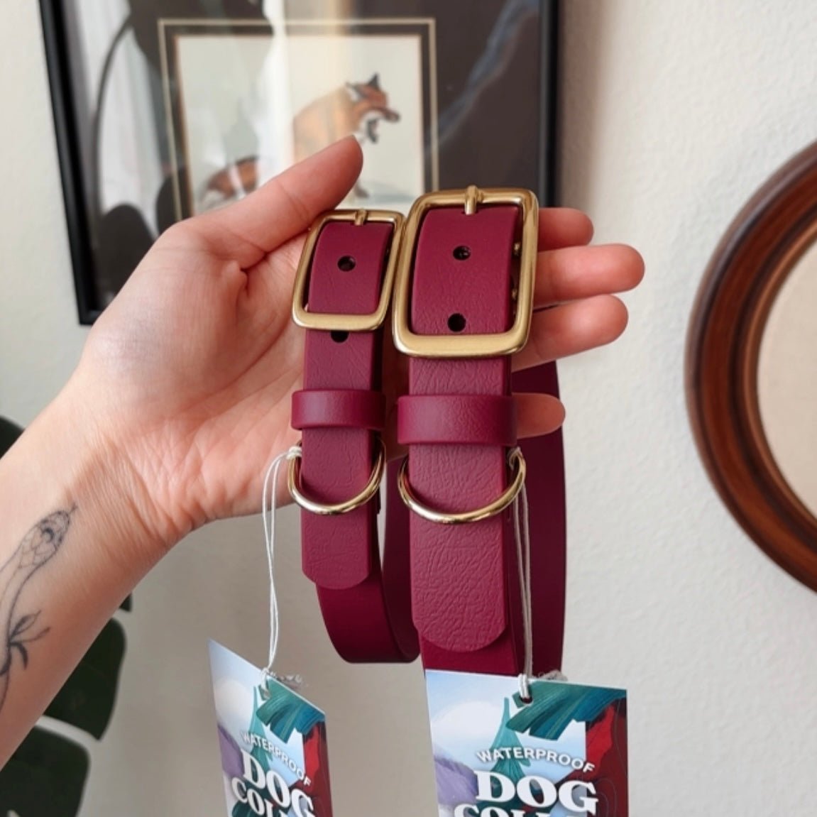 merlot buckle collar - FoxMoth - Pet Collars & Harnesses