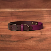 Saddle x Merlot Buckle Collar - FoxMoth - Pet Collars & Harnesses