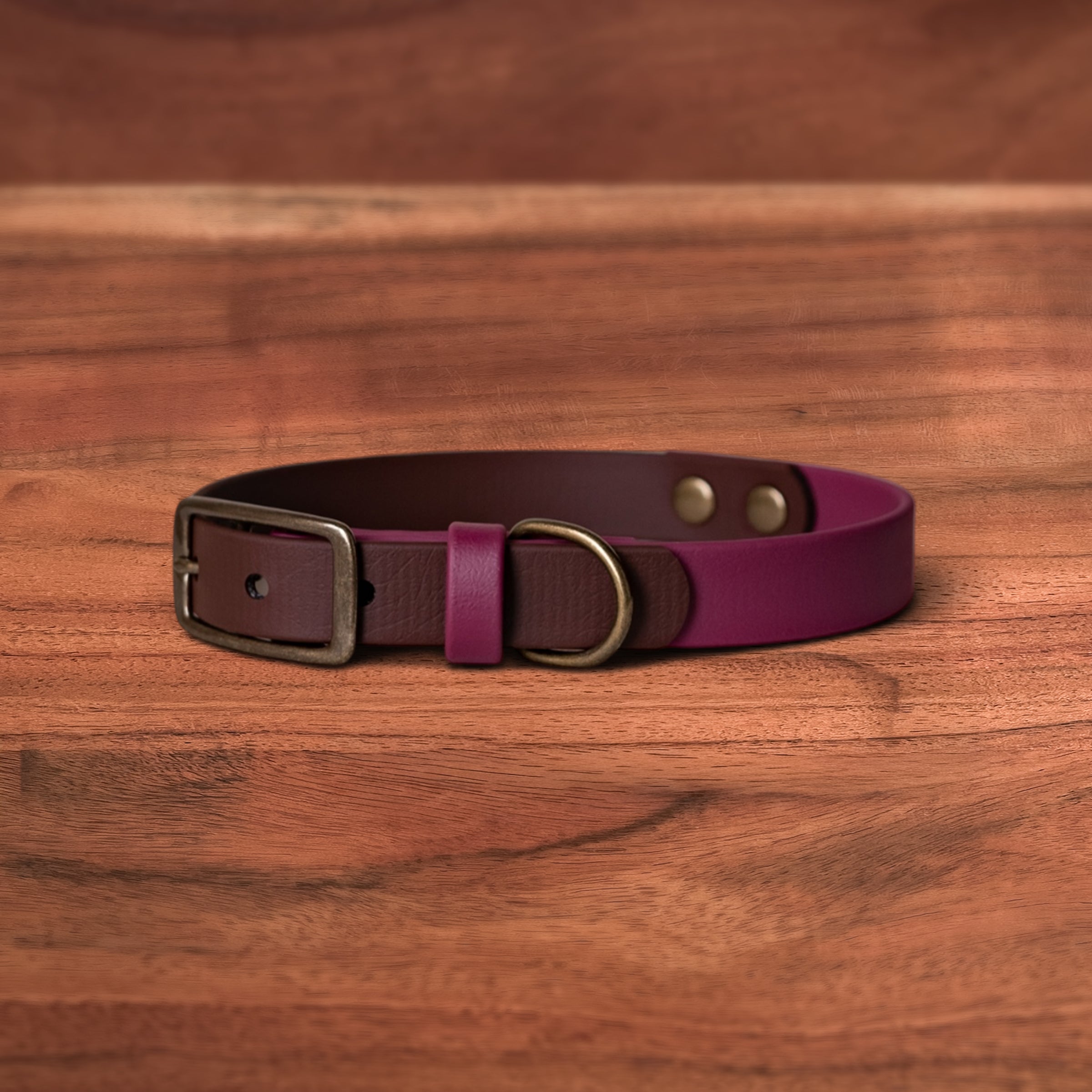 Saddle x Merlot Buckle Collar - FoxMoth - Pet Collars & Harnesses