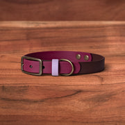 Merlot Mocha Buckle Collar - FoxMoth - Pet Collars & Harnesses