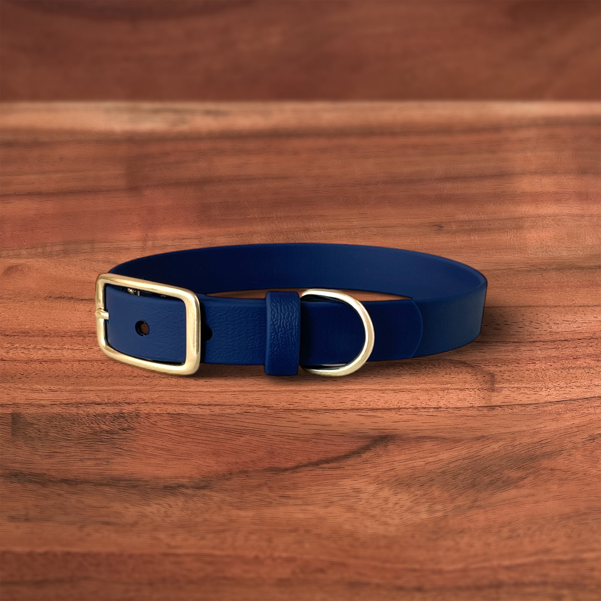 Midnight Buckle Collar - FoxMoth - Pet Collars & Harnesses